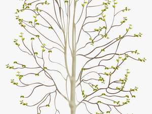 Transparent Tree Of Life Vector Png - Plants