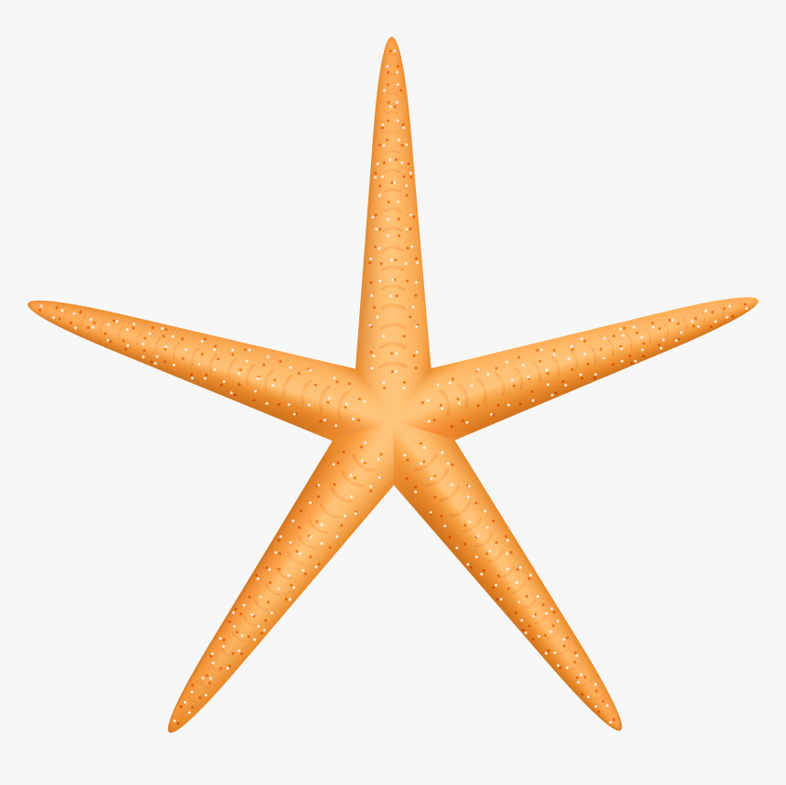 Yellow Starfish Png Clip Art