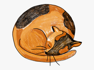 Sleeping Cat Procreate Sleeping Cat Creative Market - Illustration