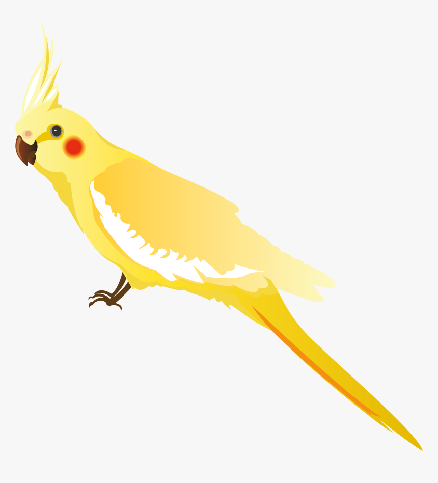 Yellow Parrot Png Clipart - Png 