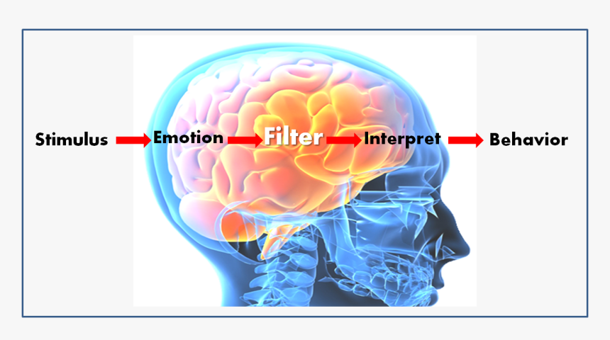 Brain Emotional Intelligence