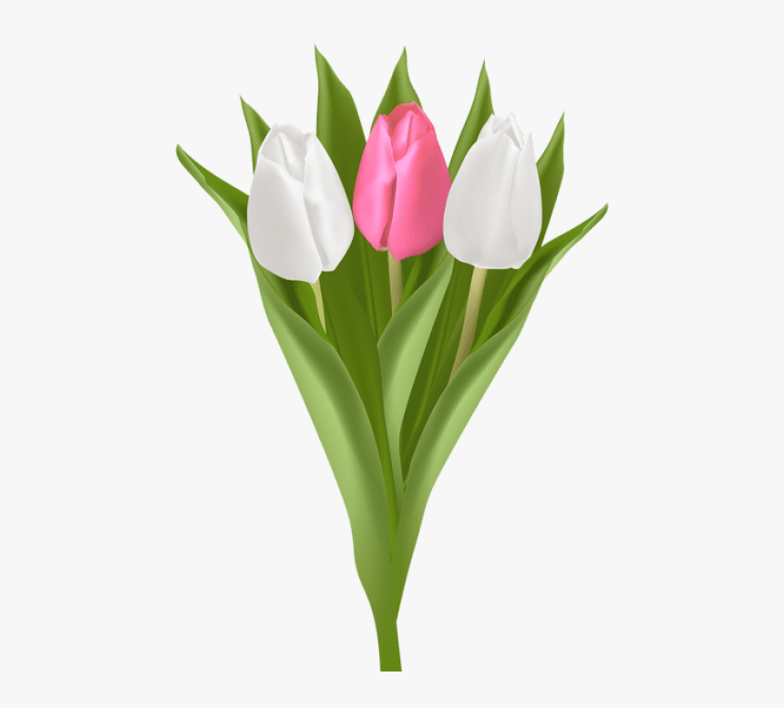 Bouquet Of Yellow Tulips Png Clipart Vector Free