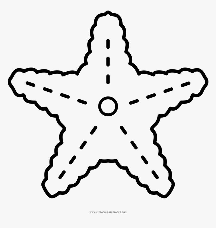 Starfish Coloring Page - Estrella De Mar Png Colorear