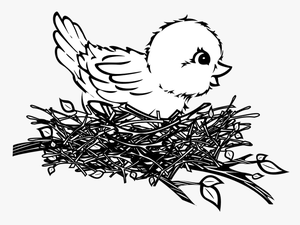Transparent Bird Drawing Png - Birds Nest Drawing Easy