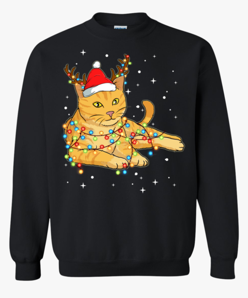 Christmas Lights Cat Wearing San