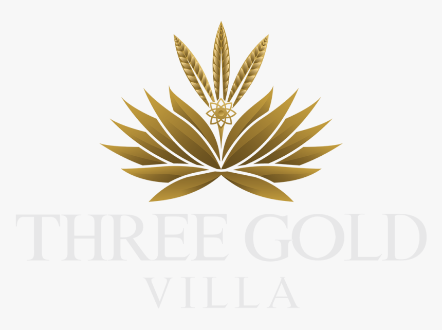 Three Gold Luxury Private Villa - Illustration