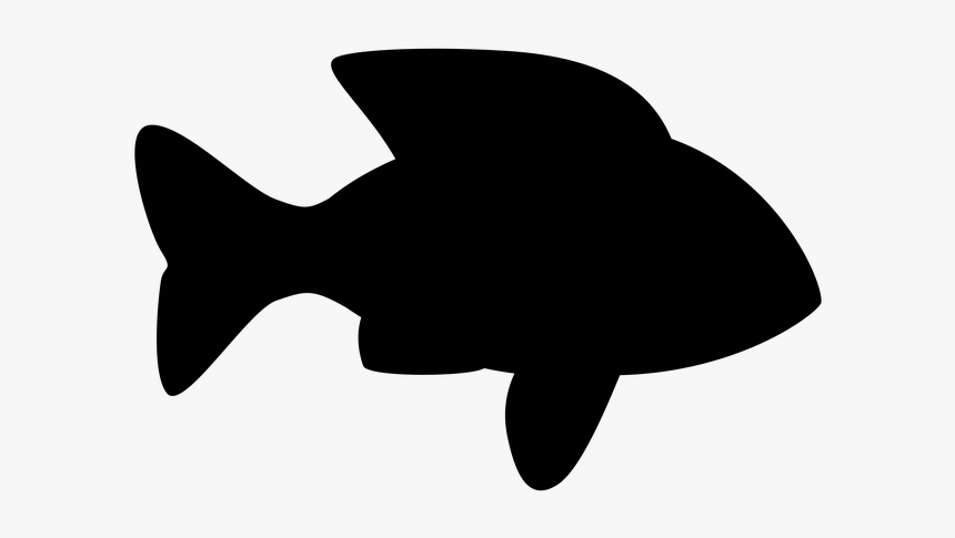 Silhouette Fish Clipart Transparent