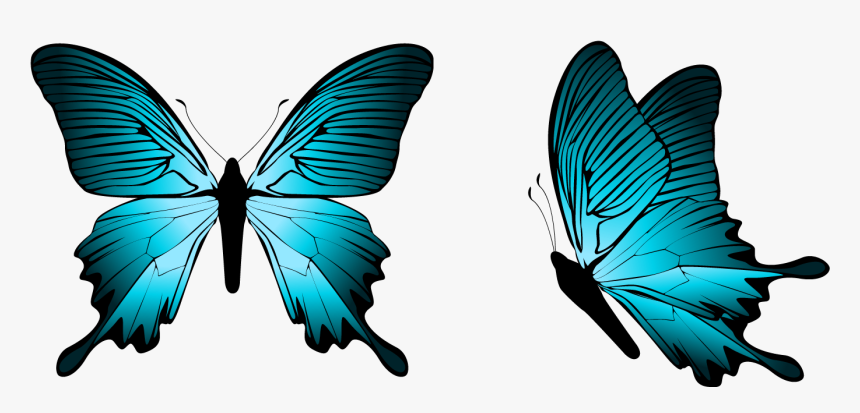 Butterfly Png Clipart - Blue But