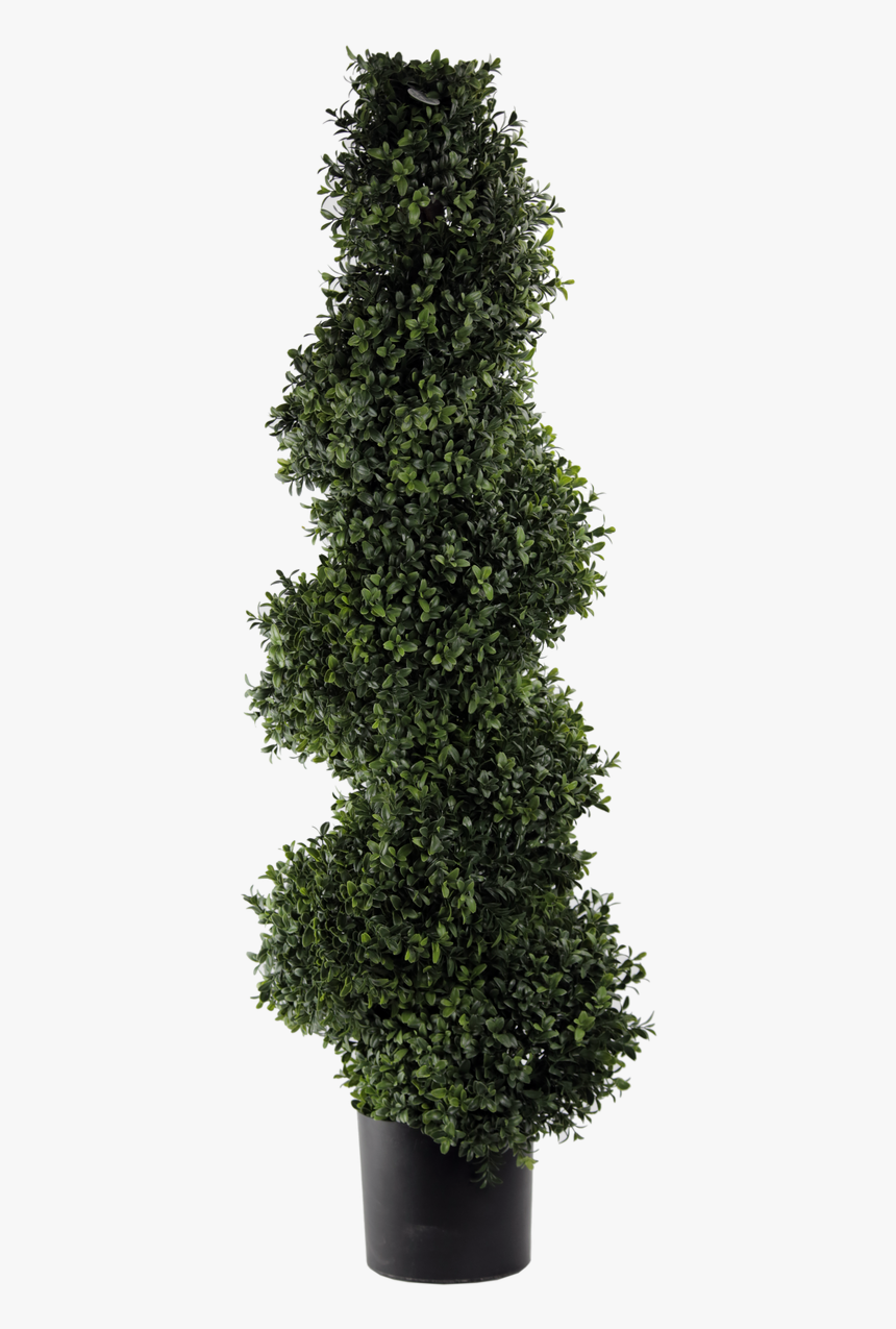 Transparent Topiary Png - Hedge