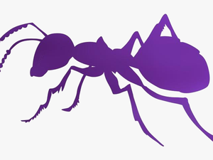 Sugar Ants Png Transparent Images - Ant Silhouette Clip Art