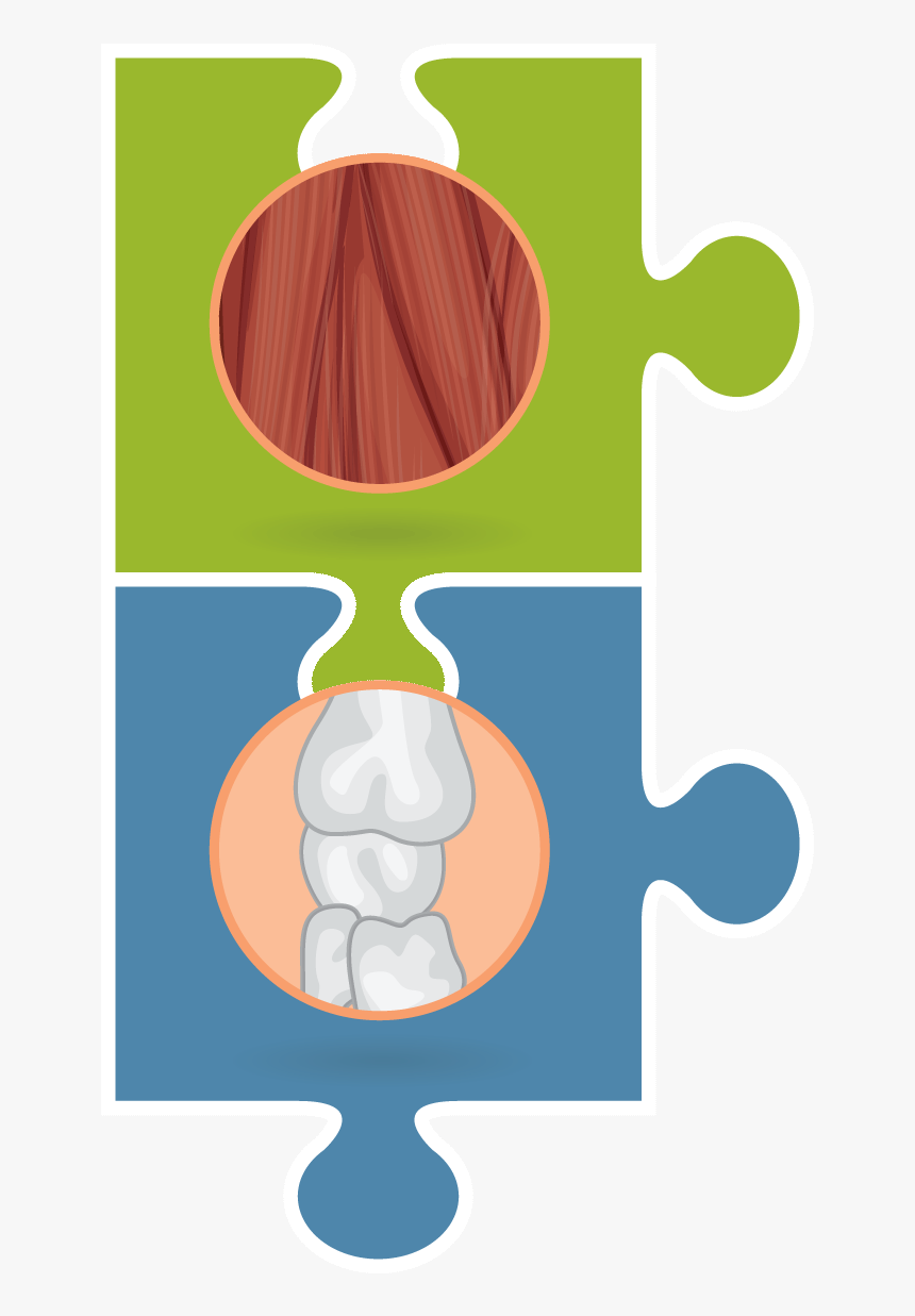 Muscles Clipart Musculoskeletal System - Musculoskeletal Clip Art