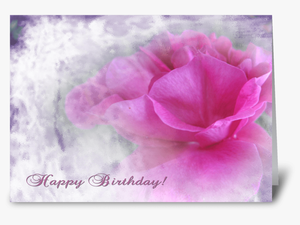 Pink Rose Texture For Birthday Greeting Card - Hybrid Tea Rose