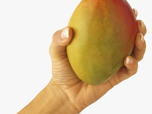 Mango Fruit Png - If Your Boyfriend Isn T Treating You Right Let That