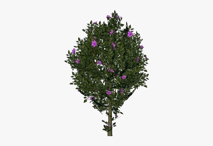 3d Flowers - Violet Hibiscus - A