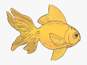 Transparent Dr Seuss Fish Clipart - Gold Fish Clip Art