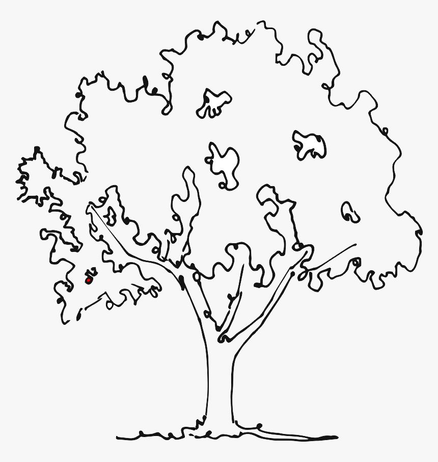 Apple Tree No Fruit - Illustrati