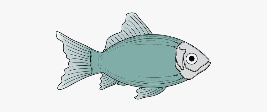 Generic Blue Fish Vector Illustration - Fish Clip Art