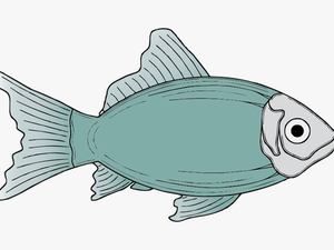 Generic Blue Fish Vector Illustration - Fish Clip Art
