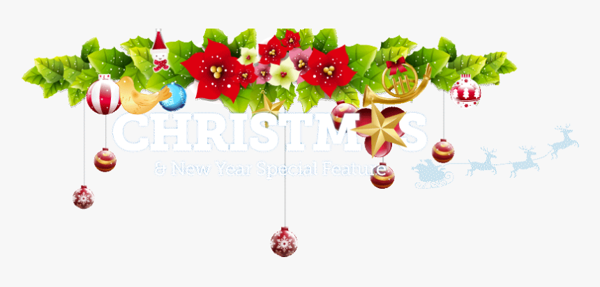 Christmas Special Feature - New Year Celebration Png