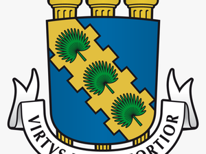 Thumb Image - Universidade Federal Do Ceará Logo