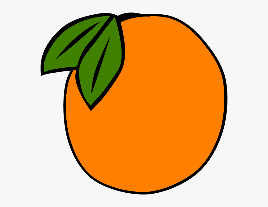 Orange Clipart