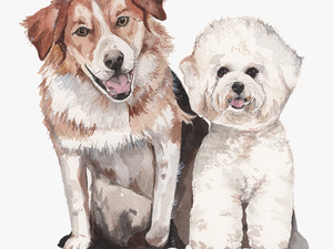Custom Watercolor Pet Portrait 
 Class Lazyload Lazyload - Watercolour Dog Transparent