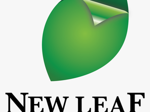 00295 New Leaf Logo 01 Egojo 2017 11 02t11 - Graphic Design