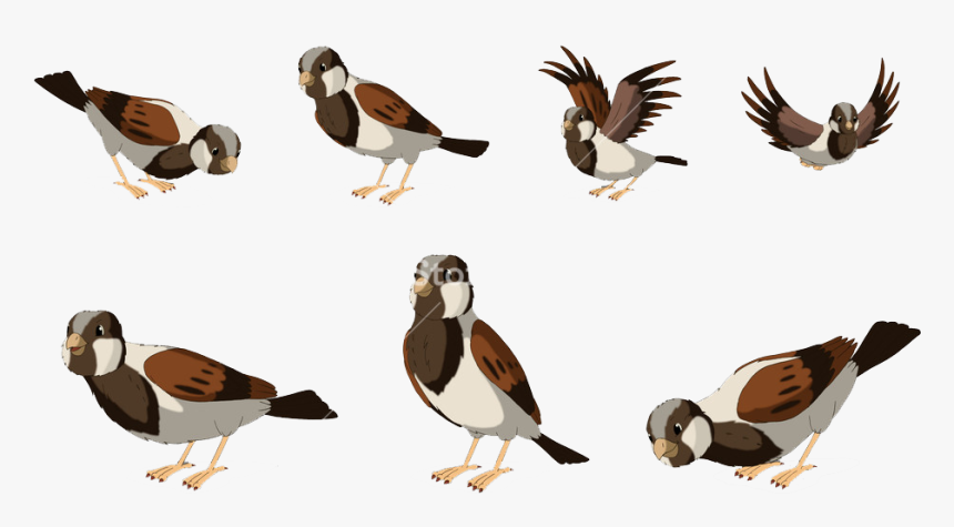 Sparrow Png Free Pic - Cute Png 