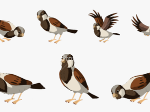 Sparrow Png Free Pic - Cute Png Cartoon Sparrow