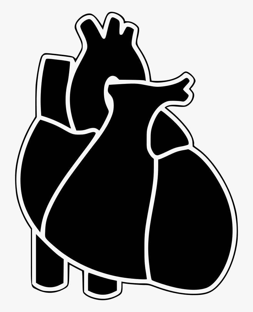 Medical Heart - Illustration