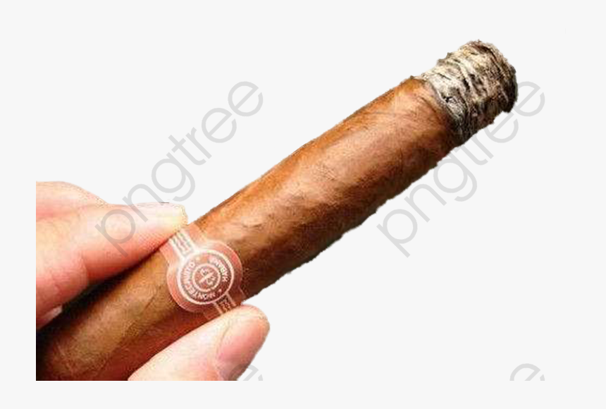 Cigars Cigar Smoke The - Transparent Cigar