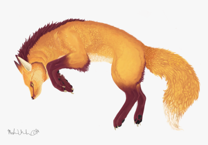 Fox Play Transparent By Lykouros