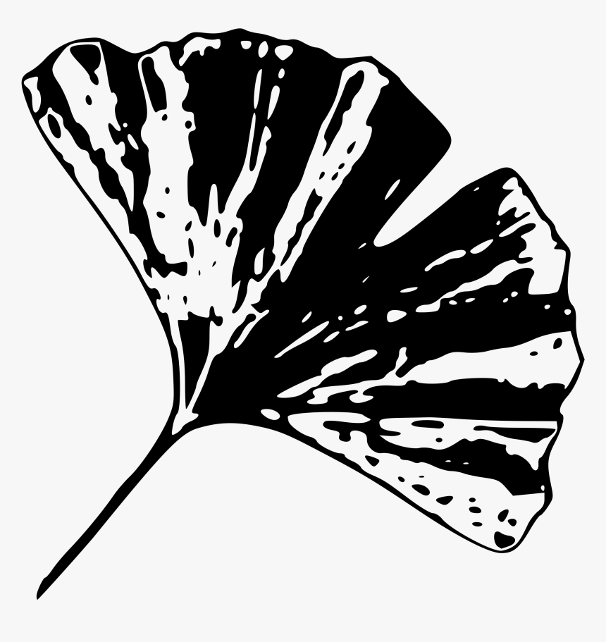 Gingko Leaf D Clip Arts - Black And White Gingko Leaf