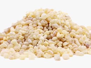Frankincense 1 Lb - Popcorn