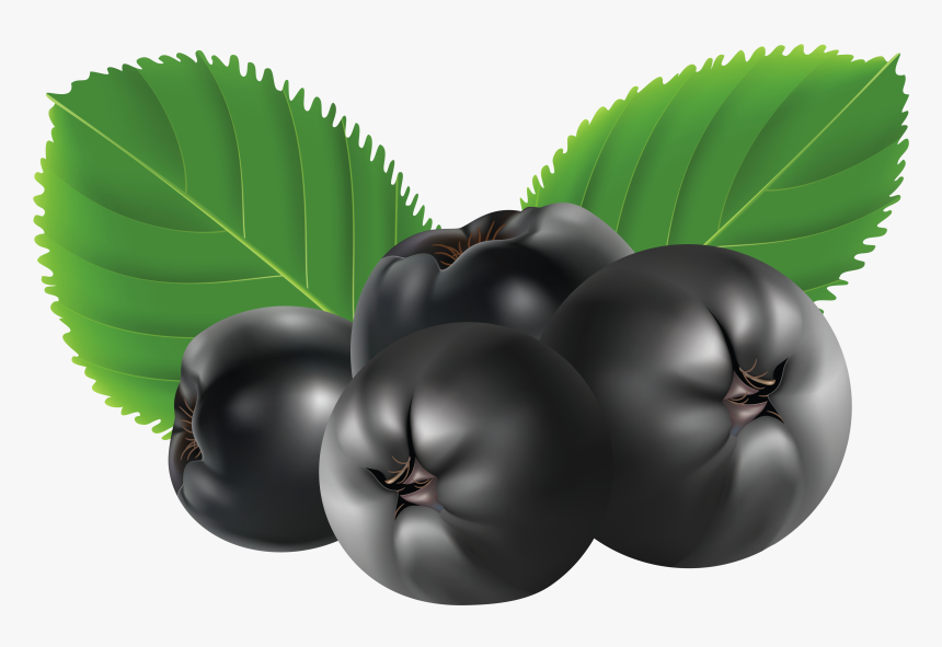 Blueberries Png - Aronia Clipart