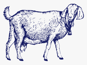 Goat-01 - Goat