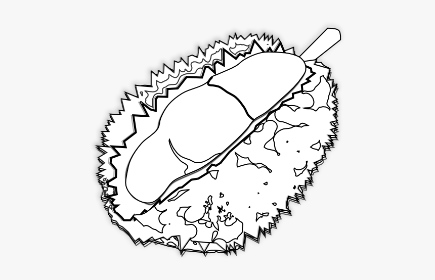 Food Durian Durian Black White Line Art 555px - Durian Black And White