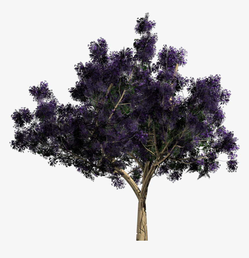 Tree .png