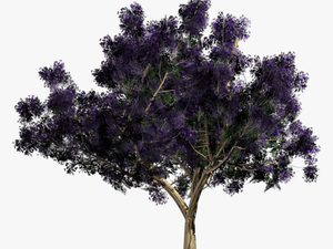 Tree .png