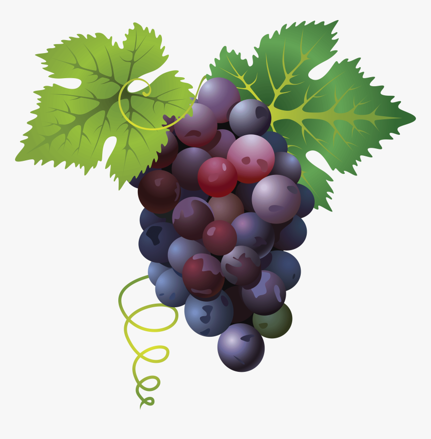 Grape Png Free Images - Transpar