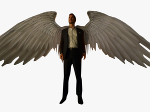 Lucifer Morning Star With Wings Png Image