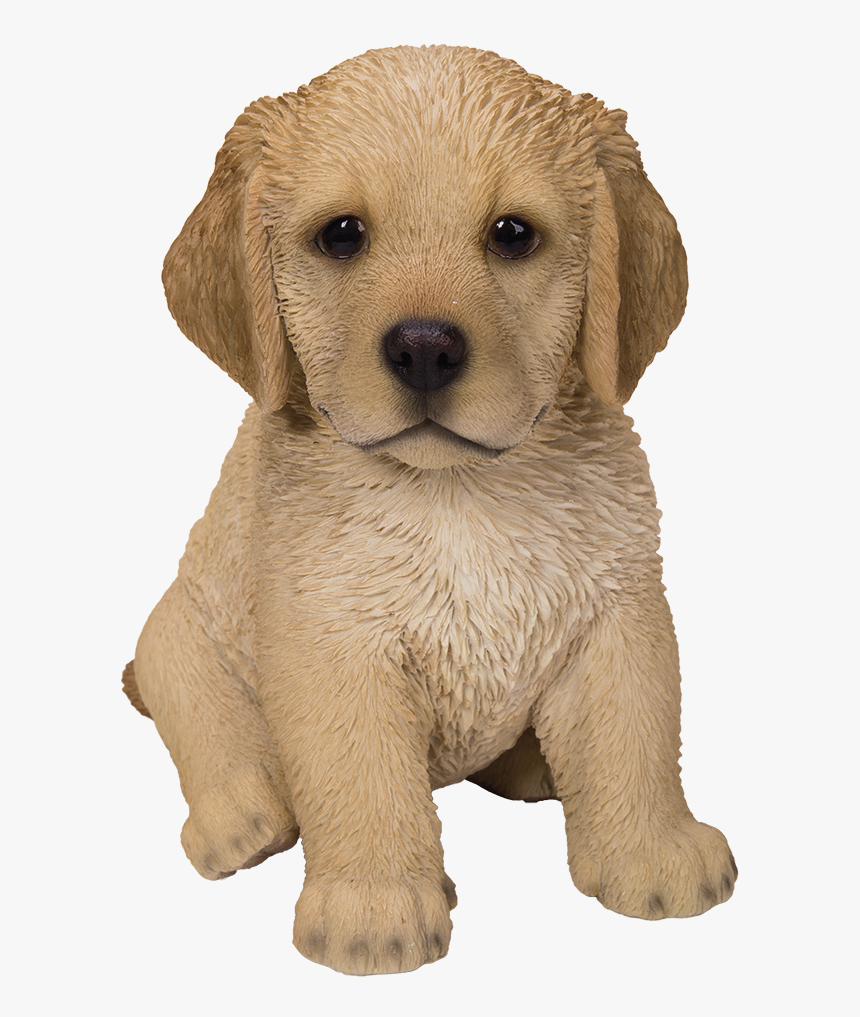 Cute Fluffy Cute Golden Retriever Puppy