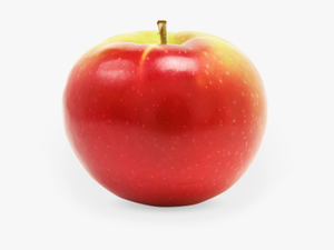 Apple Fruit