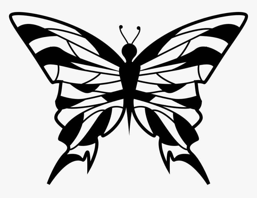 Clip Art Butterfly Top View - Po