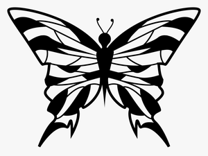 Clip Art Butterfly Top View - Portable Network Graphics