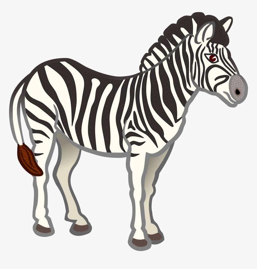 Zebra Clipart Zebraclipart Zebra