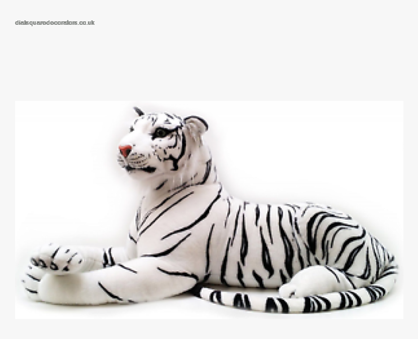 Transparent White Tiger Png - Pl