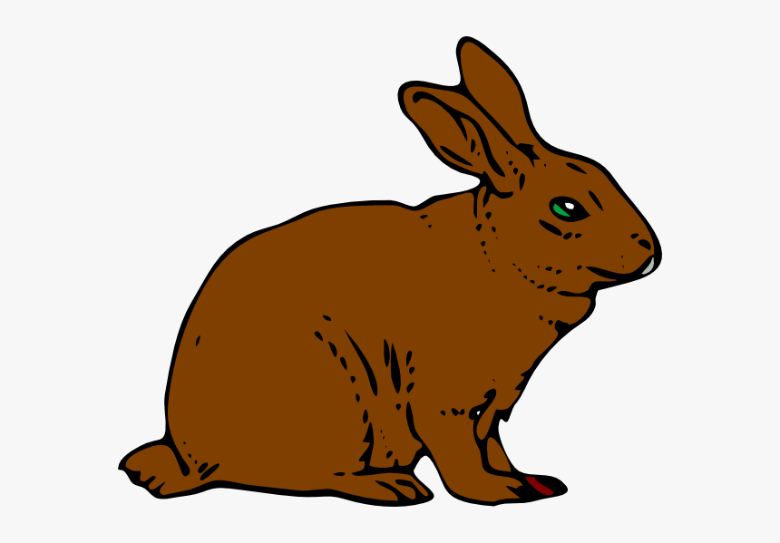 Brown Rabbit Clipart - Khargosh 