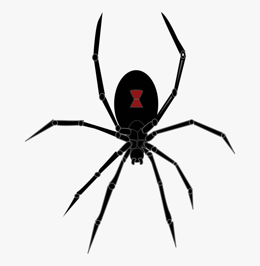 Spiders Unbugme Pest Control - Black Widow Spider Png