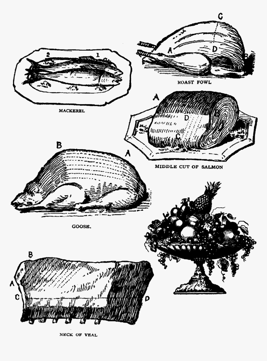 Printable Food Collage Sheet Download Meat Fish Fruit - Sketch